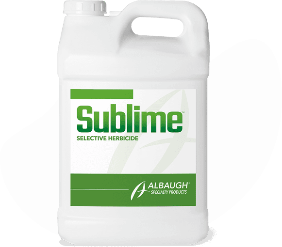 A bottle of sublime insecticide.