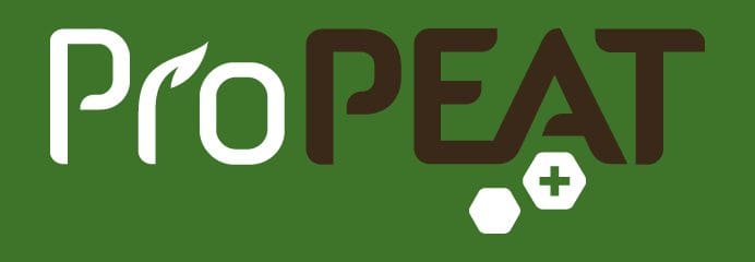 A green banner with the word peace written in brown letters.