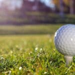 A golf ball on the tee in front of some trees.