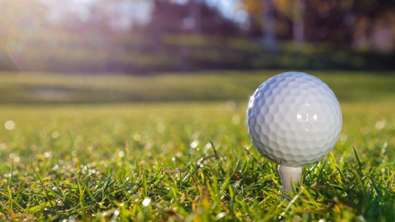 A golf ball on the tee in front of some trees.