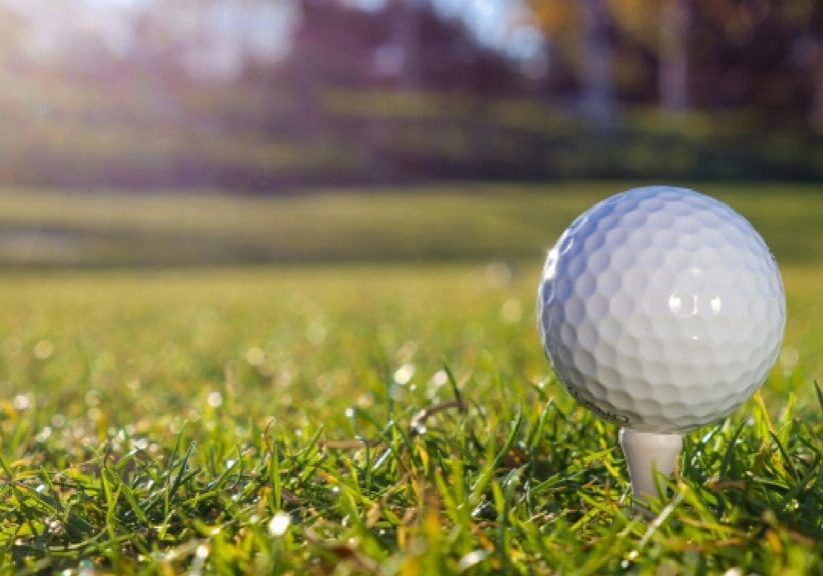 A golf ball on the tee in front of some trees.
